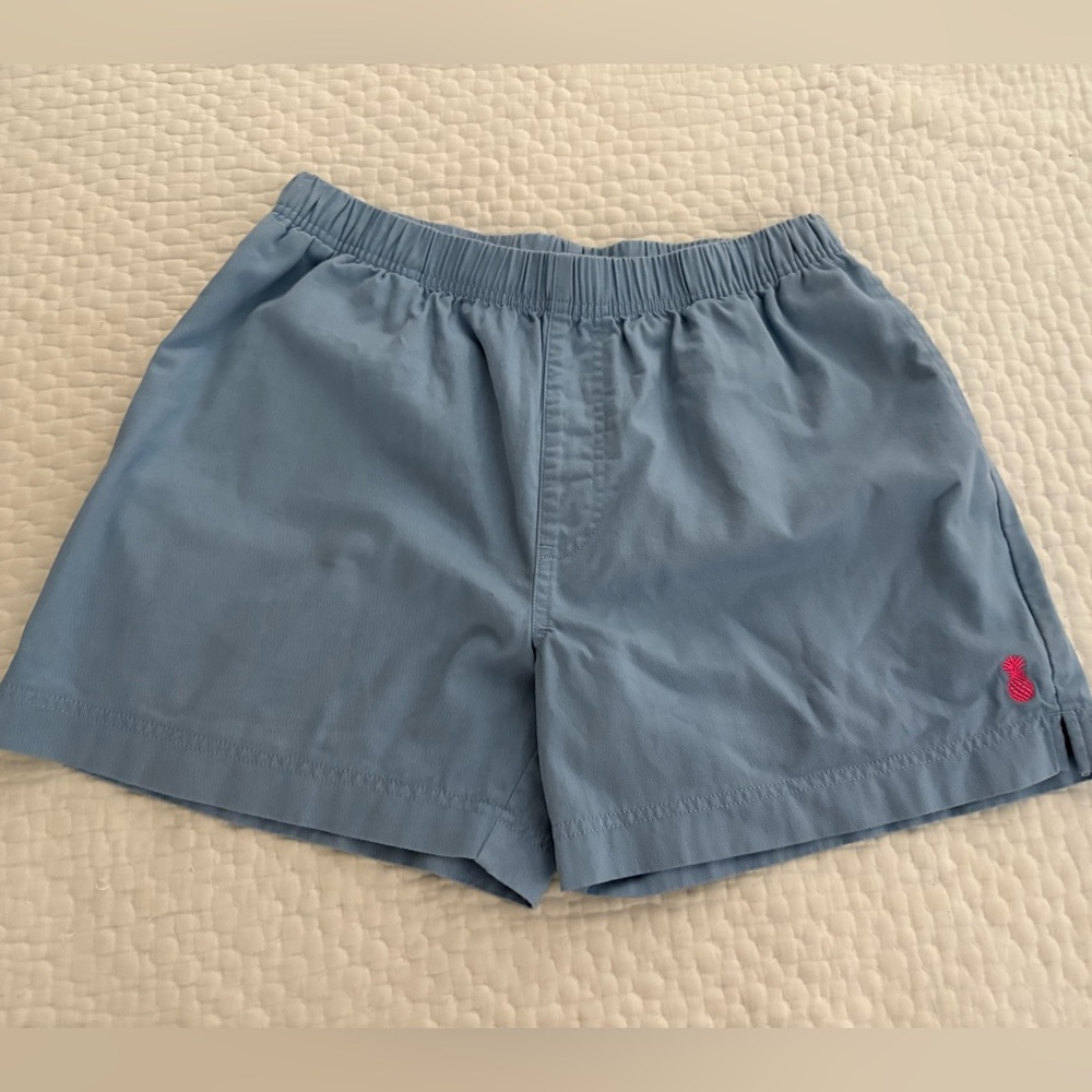 Chubbies Dad Shorts - 5.5”